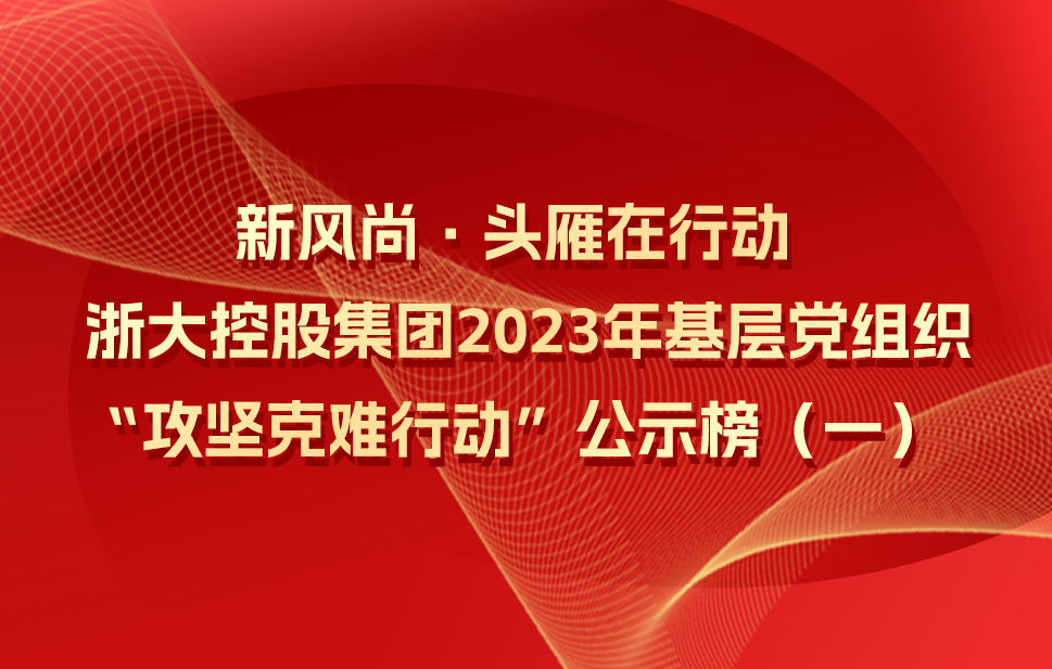 【新风尚·头雁在行动】浙大控股集团2023年基层党组织“攻坚克难行动”公示榜（一）